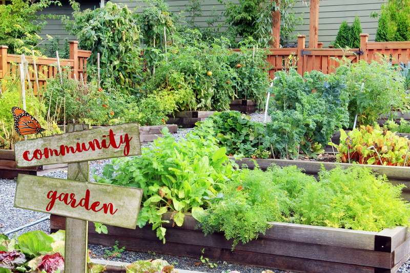 community garden insurance